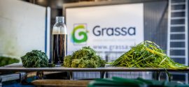 Schouten and Grassa collaborate on development of plant-based meat substitutes made from grass protein